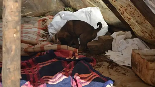 Gönüllülerden örnek davranış