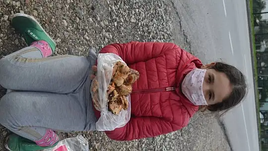 Çıntar mantarını hem satıyor hem de hediye ediyor