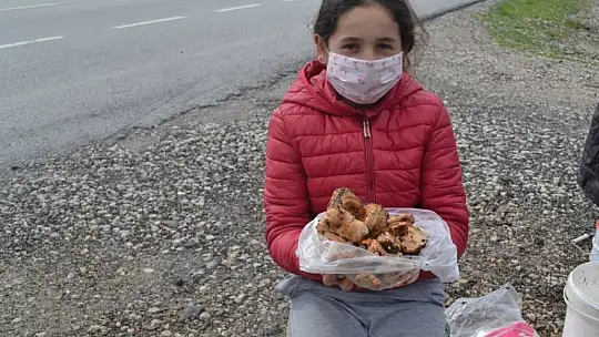 Çıntar mantarını hem satıyor hem de hediye ediyor