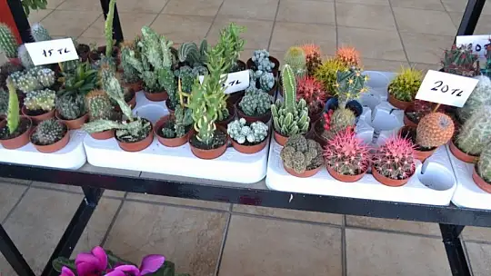 Koca, 'Sevgililer Günü hazırlıklarımız devam ediyor' 