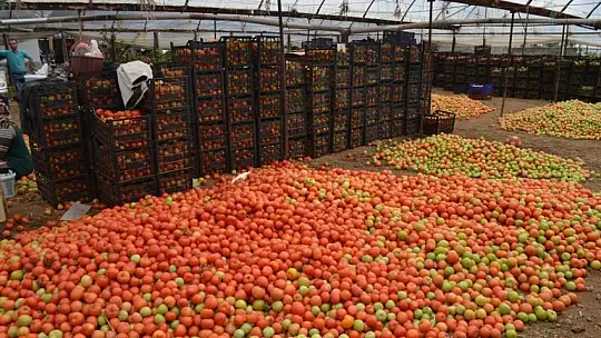 Karayiğit 'Çiftçilerin kredileri yapılandırılmalı'