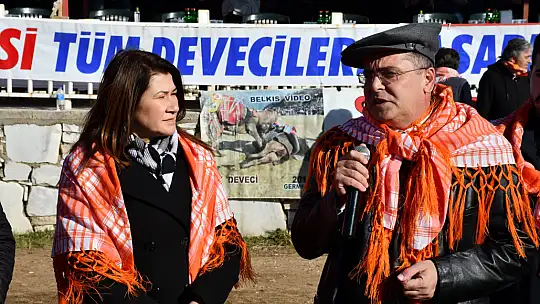 Yatağan'da develer güreşti