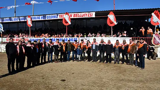 Yatağan'da develer güreşti