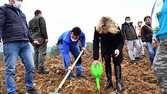 Fidan dikimi etkinliğine yoğun ilgi