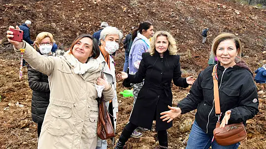 Fidan dikimi etkinliğine yoğun ilgi