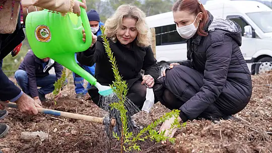 Fidan dikimi etkinliğine yoğun ilgi
