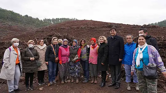 Fidan dikimi etkinliğine yoğun ilgi