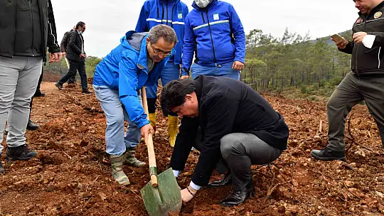 Fidan dikimi etkinliğine yoğun ilgi