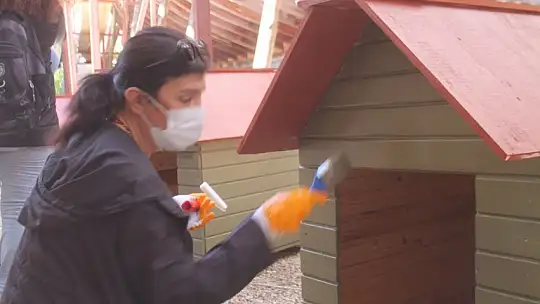 Bu projeyle yüzlerce can yuvaya kavuşacak