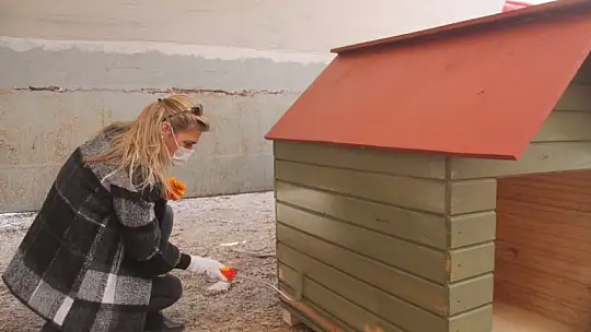 Bu projeyle yüzlerce can yuvaya kavuşacak