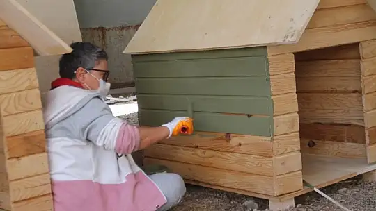 Bu projeyle yüzlerce can yuvaya kavuşacak