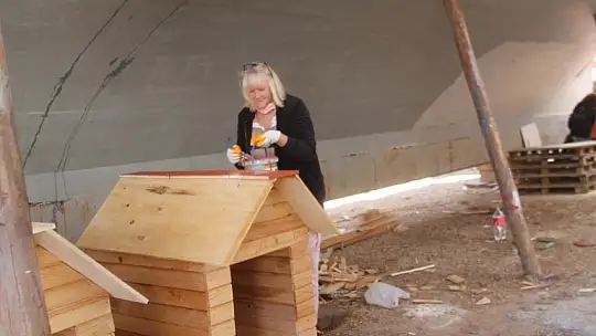 Bu projeyle yüzlerce can yuvaya kavuşacak