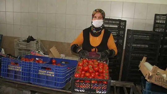 Haller 7/24 çalışmaya devam edecek 