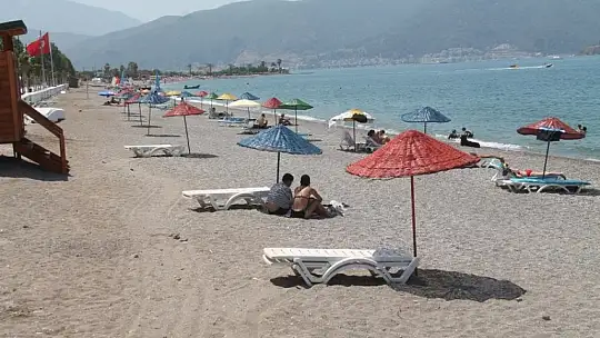 Caretta Caretta Kaplumbağaları'nın Yavru Çıkış Dönemi Başladı