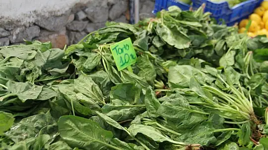 Başkan Hıra, 'Geçen seneye bakınca fiyatlar yüksek'