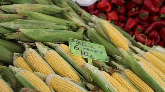 Başkan Hıra, 'Geçen seneye bakınca fiyatlar yüksek'