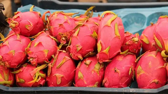 Başkan Hıra, 'Geçen seneye bakınca fiyatlar yüksek'