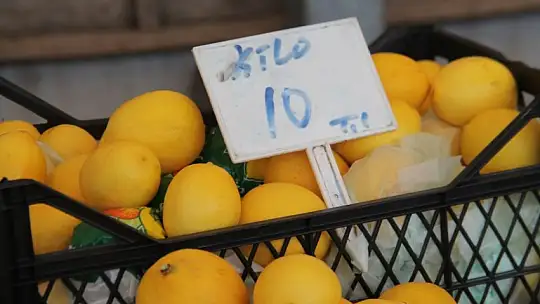 Başkan Hıra, 'Geçen seneye bakınca fiyatlar yüksek'