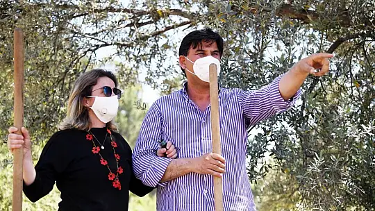 30 zeytin fidanı daha dikildi