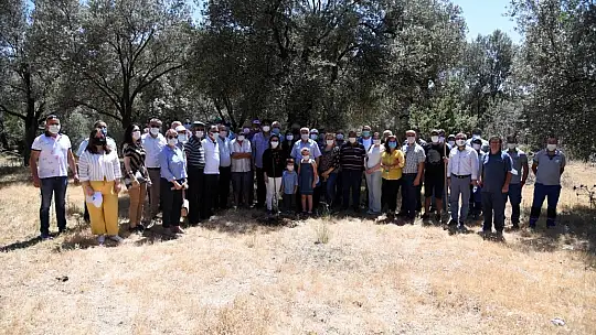30 zeytin fidanı daha dikildi