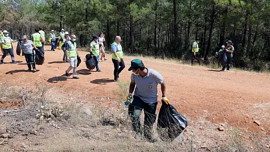Kozağaç Yangın Bölgesinde Çevre Temizliği