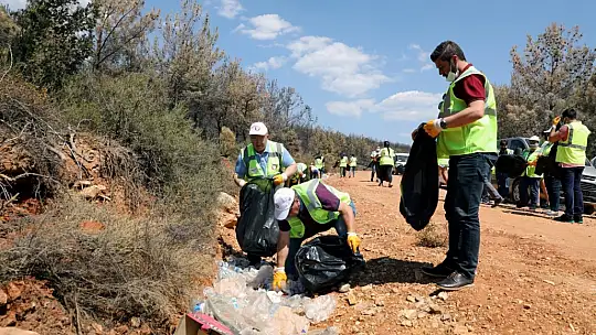 Kozağaç Yangın Bölgesinde Çevre Temizliği