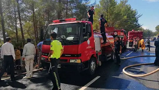 YANAN YERLER TEKRARDAN YEŞİLLENDİRİLECEK