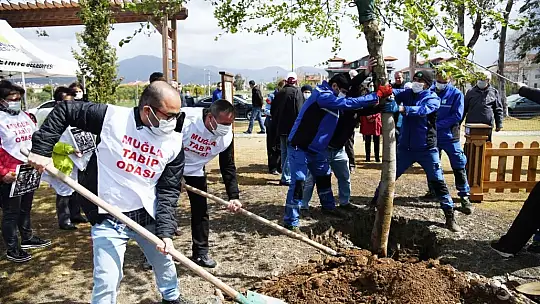 'Çınar Ağacı' hayatını kaybeden sağlık çalışanlarının anısını yaşatacak