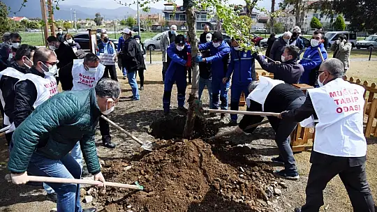 'Çınar Ağacı' hayatını kaybeden sağlık çalışanlarının anısını yaşatacak