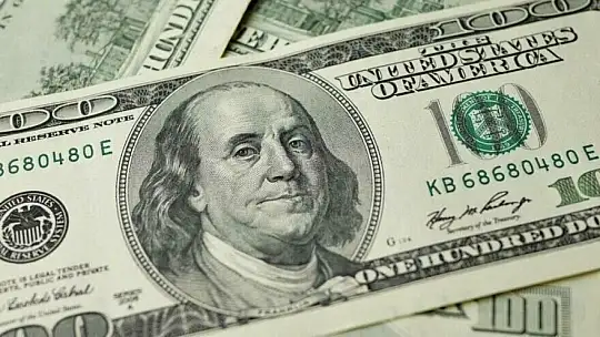 1 Dolar 10 TL, gram altın 600 TL