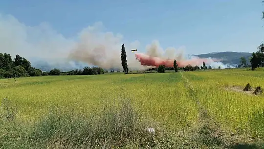 Tarım arazisinde çıkan yangın kontrol altına alındı