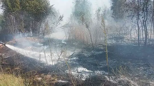 Tarım arazisinde çıkan yangın kontrol altına alındı