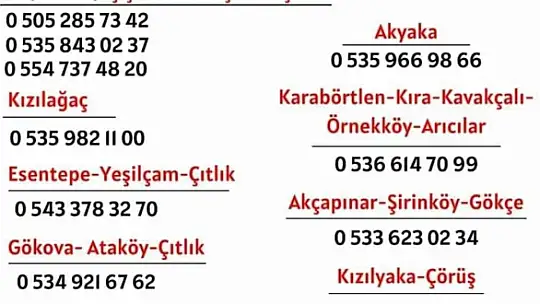 Menteşe'de Yaşlıların Market Alışverişini CHP'li Gençler Üstlendi