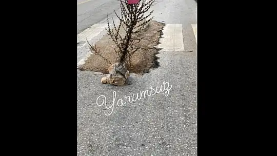 'Yaya geçidi sizlere ömür'