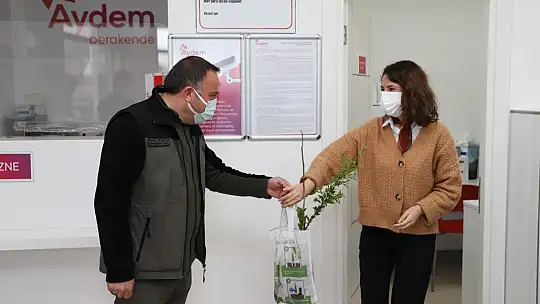 Vatandaşlara ücretsiz fidan dağıtıldı