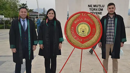 Taşer, Avukat yargı mekanizmasının sac ayağıdır