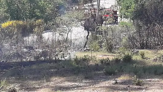 Zeytinlik alanda çıkan yangın panik yarattı