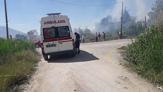 Zeytinlik alanda çıkan yangın panik yarattı