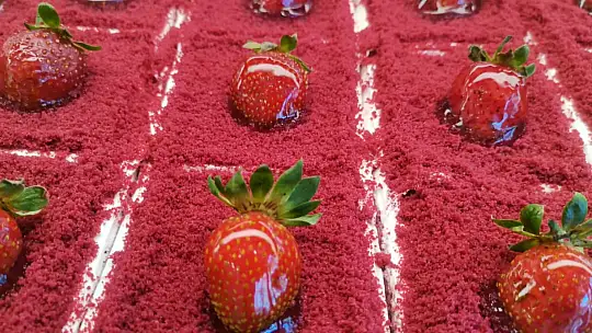 Tatlıköy Durağı 2. şubesiyle hizmet vermeye devam ediyor