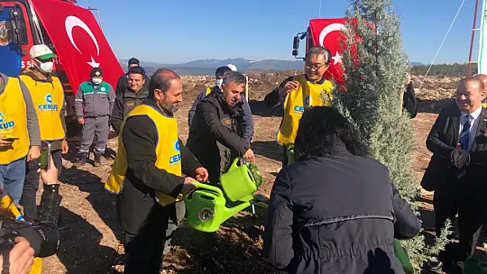 Türk-Kore Dostluk Ormanlarının 5'.si Milas'ta oluşturuldu