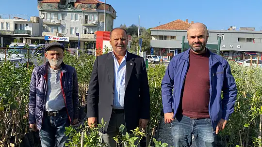 BAŞKAN KARAYİĞİT, 'ZEYTİN FİDANLARI GELDİ'