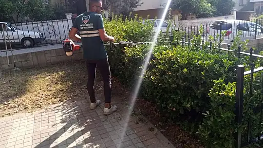 Mevsimsel Bakım, Temizlik Ve Ağaçlandırma Çalışmaları Devam Ediyor
