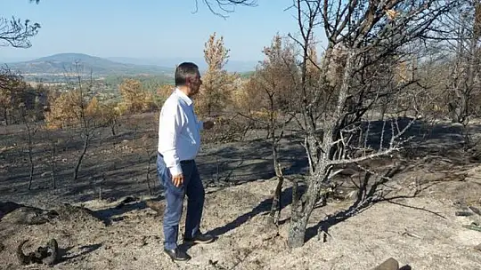 CHP'li Özcan'dan Tarım ve Orman Bakanına orman yangınları ile ilgili 41 soru