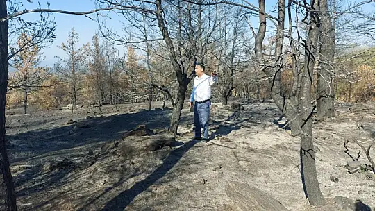 CHP'li Özcan'dan Tarım ve Orman Bakanına orman yangınları ile ilgili 41 soru