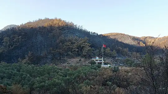 CHP'li Özcan'dan Tarım ve Orman Bakanına orman yangınları ile ilgili 41 soru