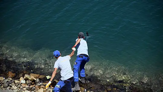 Yarımada'da Bayram Sonrası Temizliği