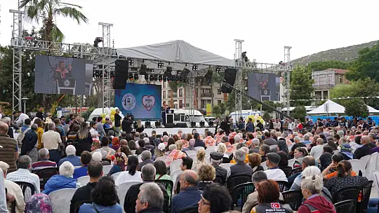 Zeytinler Hasat Edildi, Sıkımı Yapıldı