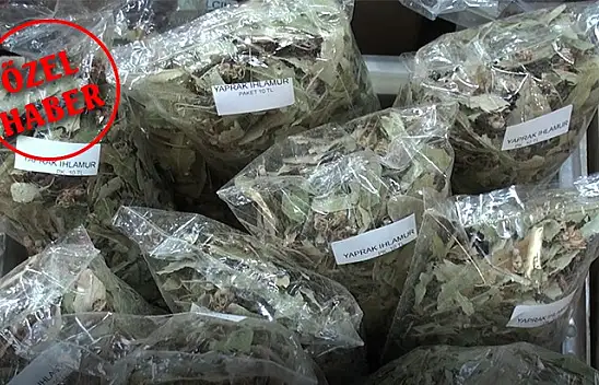 Aktar Topçu, 'Labada ve havuç tohumu gribe iyi geliyor'