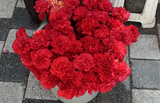 Arife Günü Mezarlık Ziyareti