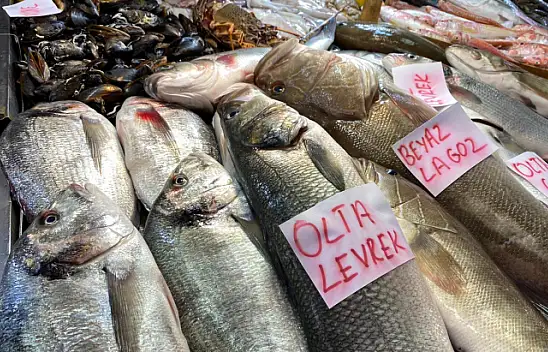 BALIĞA İLGİ BÜYÜK